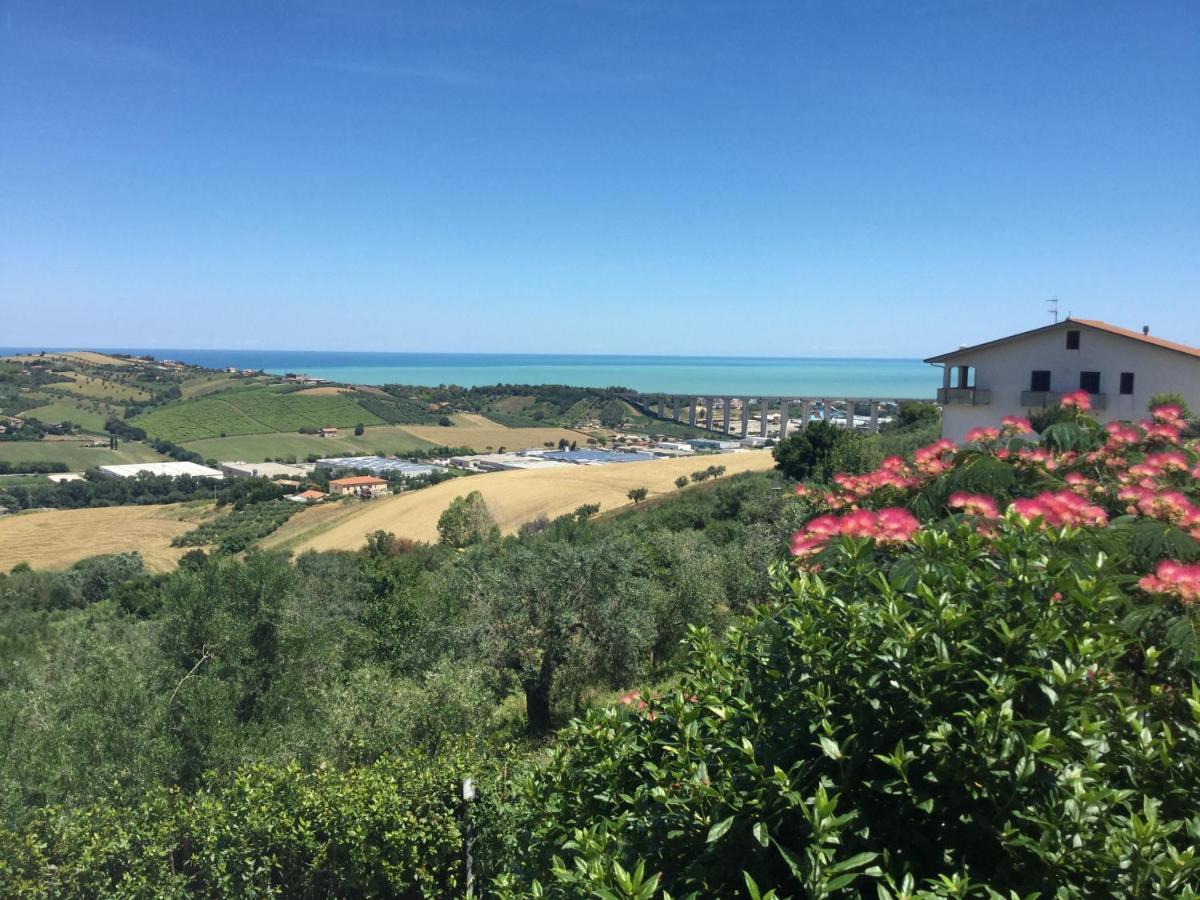 Montone  Ellebi B&B المظهر الخارجي الصورة