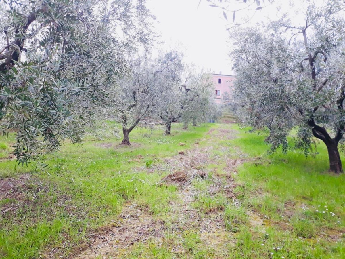 Montone  Ellebi B&B المظهر الخارجي الصورة